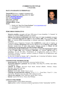 Il Curriculum Vitae di Nicola Bulla