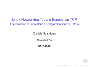 Linux Networking Tools e Esercizi su TCP - Esercitazione
