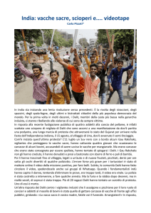 India: vacche sacre, scioperi e.... videotape - Fiom-Cgil