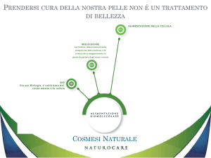 Diapositiva 1 - Cross Network