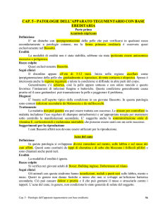 Cap. 5 parte 1 Teg lezione rev apr 15