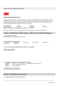 Scheda di dati di sicurezza Sezione 1