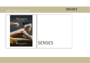 senses - Endorfine Cosmetics