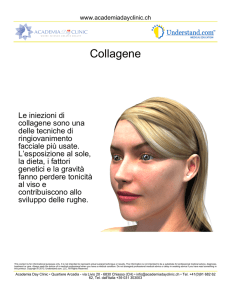 Collagene - Understand.com