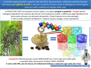Scarica l`allegato - La doccia del sole