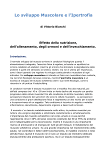 Effetto della nutrizione, dell`allenamento, degli ormoni e dell