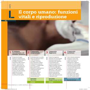 Evoluzione Il corpo umano: funzioni vitali e riproduzione