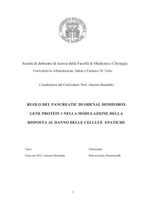 Scuola di dottorato di ricerca della Facoltà di Medicina e Chirurgia