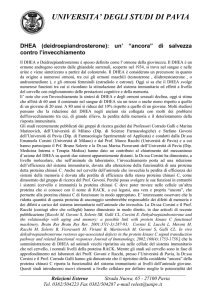 DHEA (deidroepiandrosterone) - Università degli studi di Pavia