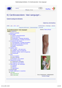 GalenicaApprendistato / 6) Cardiovascolare: Vasi sanguigni