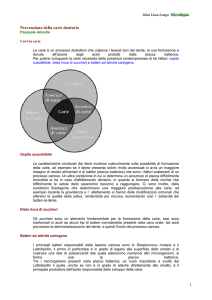 Microlingua della medicina