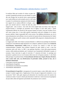 leggi approfondimento - Ambulatorio Veterinario Città di Enna