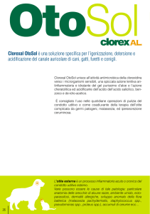 Clorexal OtoSol è una soluzione specifica per l`igenizzazione