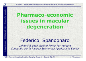 Pharmaco-economic issues in macular degeneration