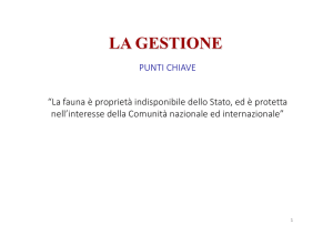 6_COORD_Gestione_CamStamb_PPT
