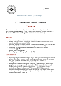 Tracoma - International Council of Ophthalmology