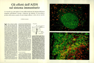 Gli effetti dell`AIDS sul sistema immunitario