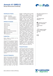 Annexin A1 (MRQ-3) - Menarini Diagnostics