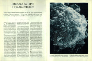 Infezione da HIV: il quadro cellulare