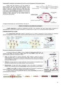 Genetica 4