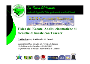 FK-tracker-gianino-SIF2013 - La Fisica del Karate