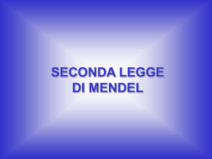 Seconda Legge di Mendel