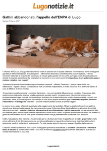 Gattini abbandonati, l`appello dell`ENPA di Lugo
