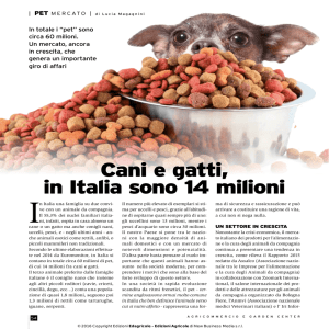 Cani e gatti, in Italia sono 14 milioni