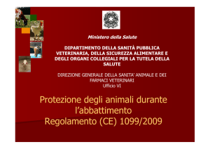 Protezione degli animali durante l`abbattimento Regolamento (CE