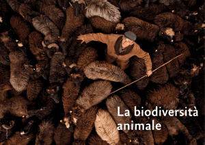 La biodiversità animale