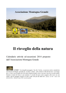 Il risveglio della natura - Parco Nazionale d`Abruzzo Lazio e Molise