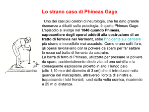 Neuro 21-Phineas Gage