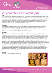 Ecografia Ostetrica Morfologica