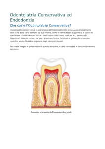 Conservativa ed endodonzia - Studio Dentistico Panella
