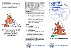 La leishmaniosi - Clinica Veterinaria Borgarello
