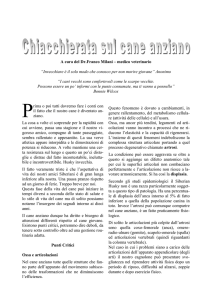 Leggi pdf - Clinica Veterinaria Legnone