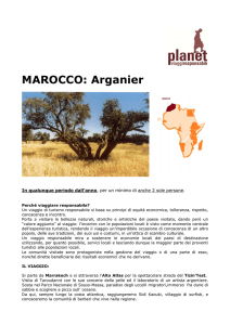 MAROCCO: Arganier
