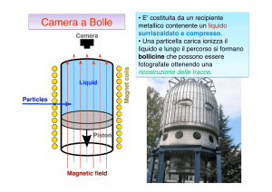 Camera a Bolle - INFN-LNF