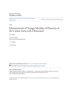 Measurements of Youngs Modulus of Elasticity of the Canine Aorta