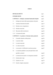 TESI FINALE - ALLUCE VALGO IN UNA VISIONE OLISTICA