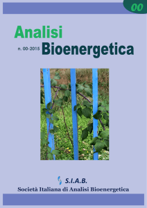 Analisi bioenergetica N°00-2015