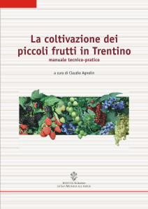 7916 La coltivazione dei piccoli frutti in Trentino 2007