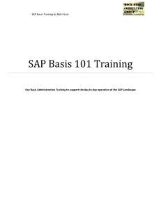 sap basis 101training