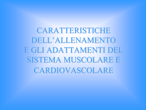 Lallenamento e gli adattamenti