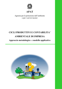 Cicli Produttivi e Contabilità Ambientale di Impresa