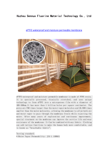 Huzhou Sennuo Fluorine Material Technology