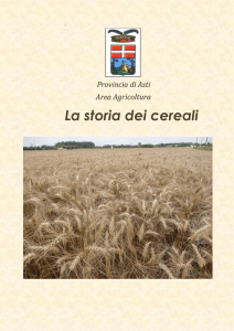 La storia dei cereali