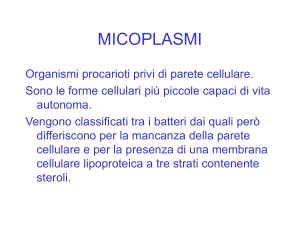 micoplasmi e legionella