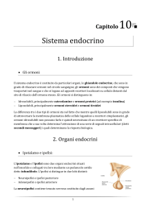 Capitolo 10 - Sistema endocrino