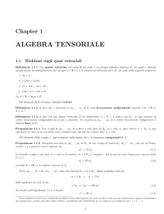 Tensori e Algebra Tensoriale dispensa (50 Pag)